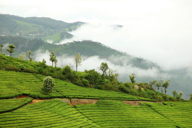 Coonoor photo 14