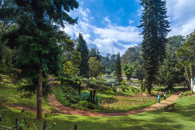 Coonoor photo 4