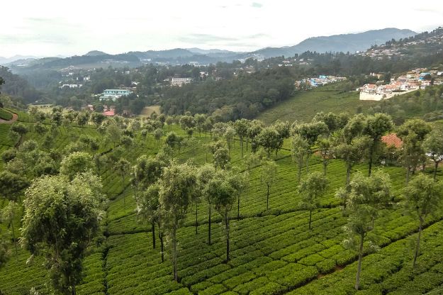 Coonoor photo 6
