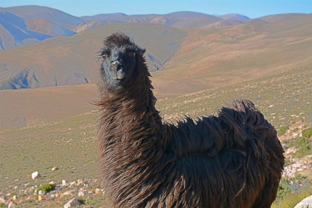 Jujuy Province photo 3