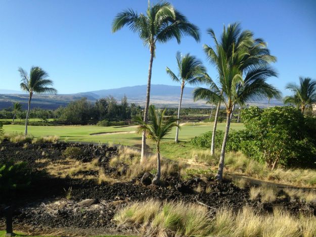 Mauna Kea Beach photo 14