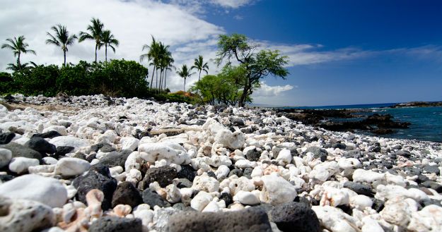 Mauna Kea Beach photo 13
