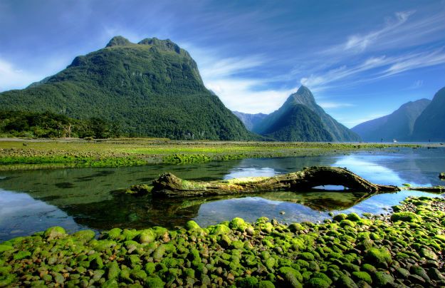 shutterstock_39030727
