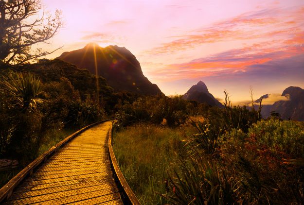 shutterstock_544750429