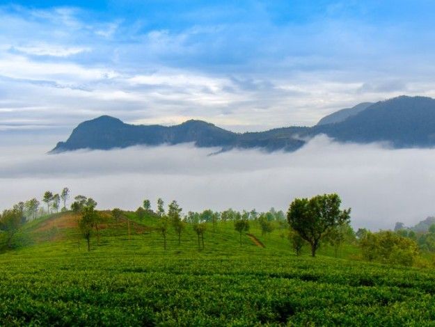 Ooty photo 4