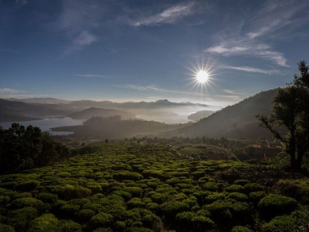 Ooty photo 3