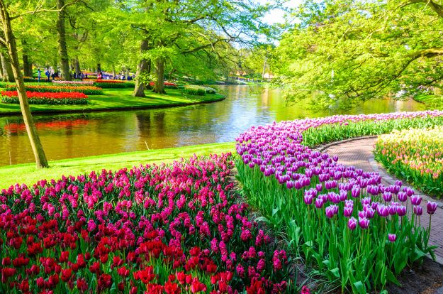 Keukenhof Park in The Netherlands: Heart-warming Pictures of The Famous ...