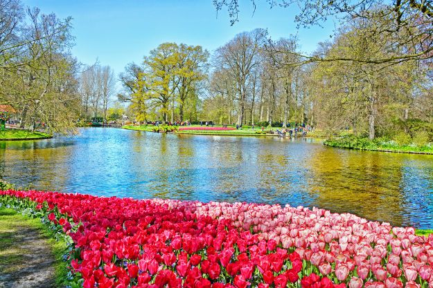 Keukenhof photo 7