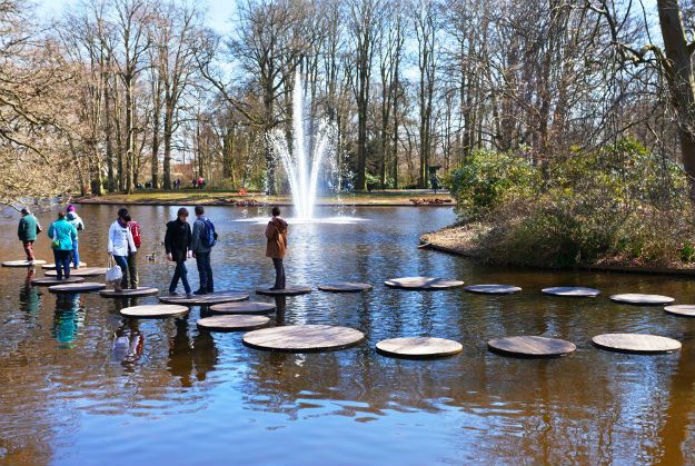 Keukenhof photo 8