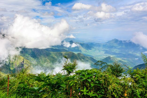 Kodaikanal 7