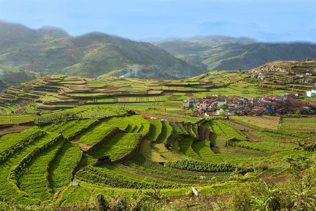 Kodaikanal photo 3