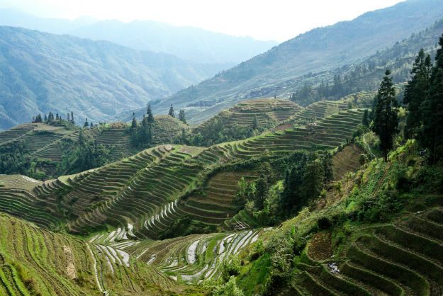 Longsheng photo 3