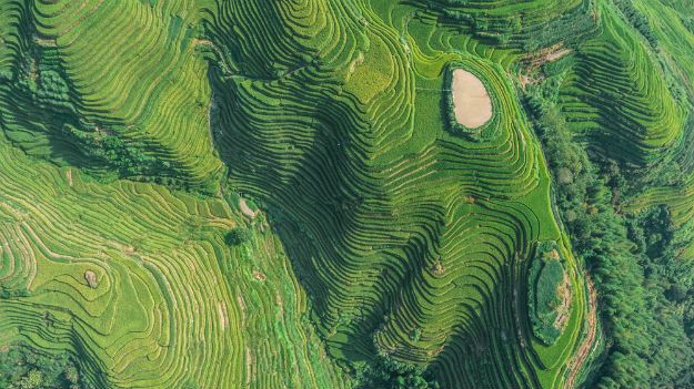 Longsheng photo 4