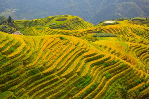 Longsheng photo 6