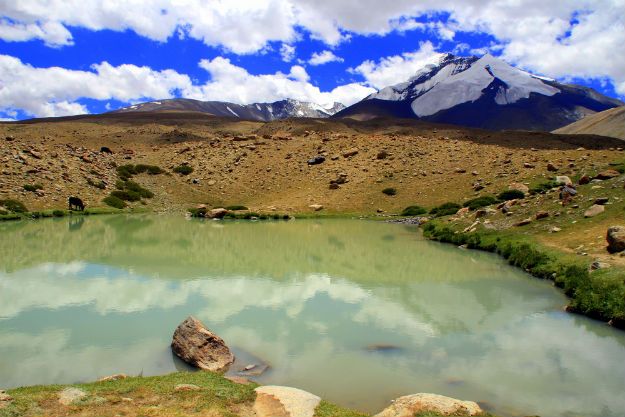 Markha Valley trek 9