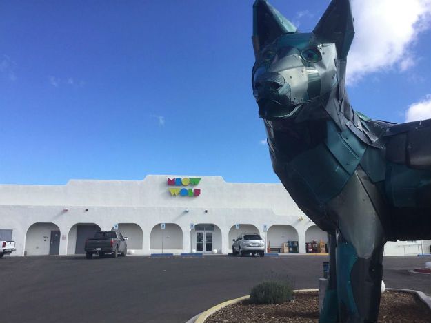 Meow Wolf