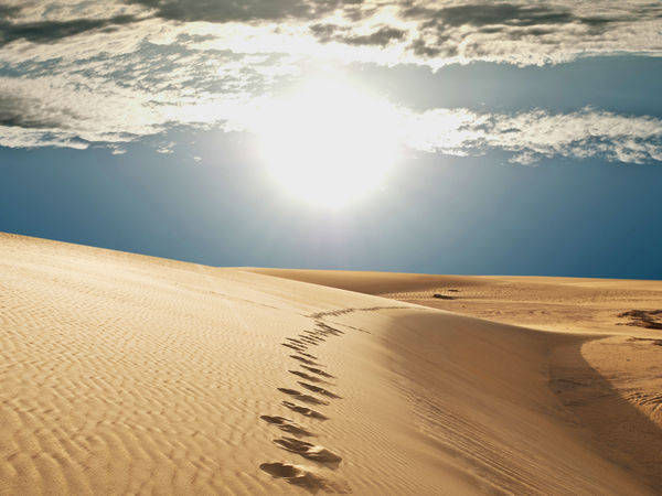 Jaisalmer desrt in Rajasthan - Jaisalmer - Rajasthan