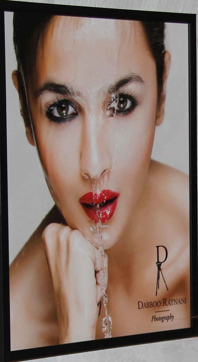 Dabboo Ratnani, Dabboo Ratnani calendar launch 2015, Aishwarya Rai Bachchan, Alia Bhatt, Amitabh Bachchan, Akshay Kumar, Priyanka Chopra, Anushka Sharma