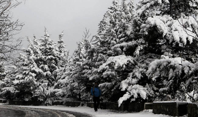 Tourists flock Himachal Pradesh amid heavy snowfall