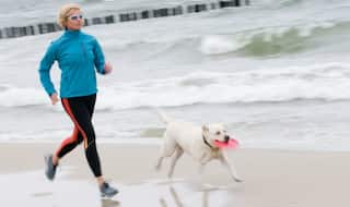 Need a partner for workout? Try Dogs