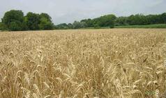 Economic Survey 2014-15: Agriculture sector-Challenges and Reforms Required