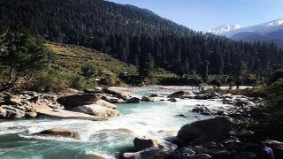 Gurugram Firm's 2 Employees Washed Away in Parvati River in Himachal's Kullu While Taking Selfie