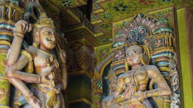 india.com top news