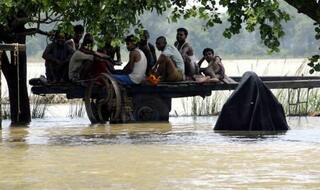 Jammu and Kashmir floods: Rains briefly hit relief operations, another 60,000 evacuated