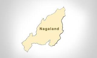 Nagaland to protect world’s longest-distance migratory falcons