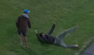 New Zealand spectator takes jaw-dropping catch; wins USD 5,000 for effort