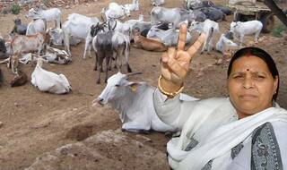 हार के बाद बौखलाई राबड़ी देवी, कहा बीजेपी ने की ईवीएम में गड़बड़ी