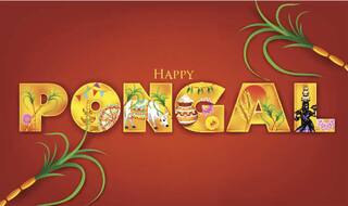 Pongal 2015 Messages: Best Pongal SMS, WhatsApp & Facebook Messages to send Pongal greetings!