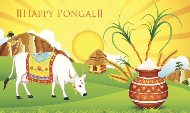 Happy Pongal 2015: All you need to know about the Tamil harvest ...