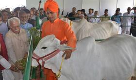 india.com top news