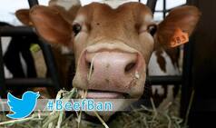 #BeefBan trends: Twitterati furious over changes in Maharashtra Animal Preservation (Amendment) Act, 1995