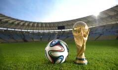 Goa legislators bow down to pressure, pay up for Brazil tour