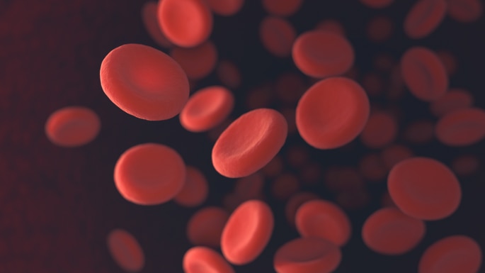 World Sickle Cell Day: This is What You Must Know About This Blood Disorder