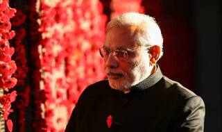 China serves traditional vegetarian delights for Narendra Modi