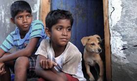 india.com top news