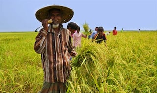 Government to give farmers power, seeds subsidy in case rains fail