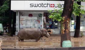 india.com top news