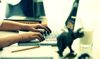 Tnresults.nic.in Tamil Nadu SSLC 10th supplementary results 2015: How to check Tamil Nadu Board supplementary exam results online using your roll no.