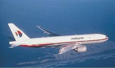 Missing Malaysian Airlines MH370 Victim's Relatives Protest Against Erecting Memorial in Australia