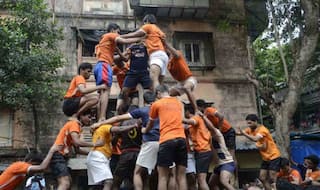 Peta to organise vegan Dahi-Handi in Nagpur