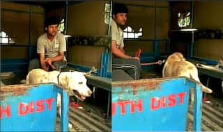 Delhi Police Epic Fail: Absconding Somnath Bharti’s ailing dog Don arrested!