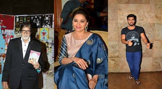 Let's maximise Ganesh Chaturthi, but minimise pollution: B-Town