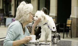 ताउम्र जवां रहने के लिए पालें पेट्