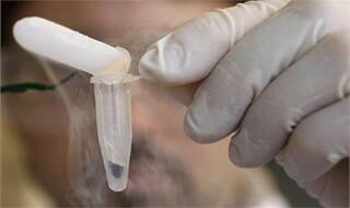 New possible cure for tumors in diabetics