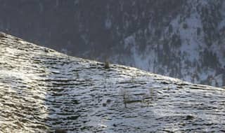 Higher reaches in Kashmir witness snowfall