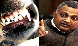 Delhi police seek custody of  AAP MLA Somnath Bharti’s pet dog Don in domestic violence case
